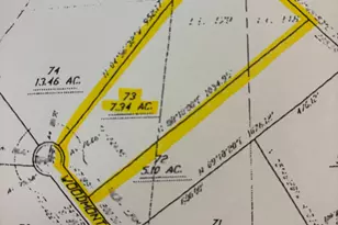 7 34 Acres Woodmont Dr, Monticello, GA 31064 - Photo 1