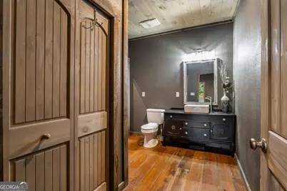 2637 River Road, Mineral Bluff, GA 30559 - Photo 21