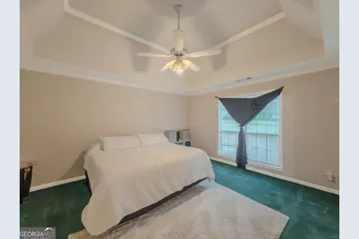 30 Cinnamon Fern Circle, Covington, GA 30016 - Photo 13