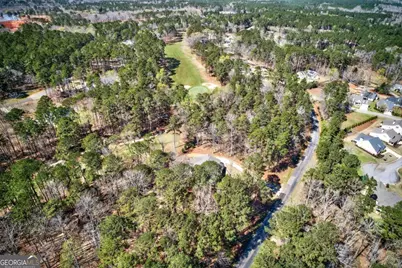 1851 Osprey Poynte, Greensboro, GA 30642 - Photo 69