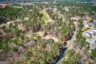 1851 Osprey Poynte, Greensboro, GA 30642 - Photo 69