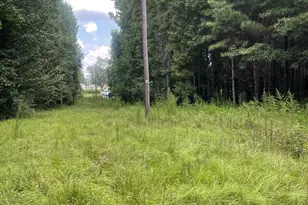 O Lot 4 Main St, Milner, GA 30257 - Photo 1