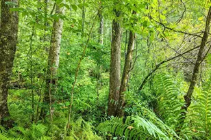 580 Emmaus Rd, Epworth, GA 30541 - Photo 11