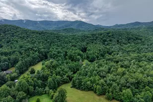 580 Emmaus Rd, Epworth, GA 30541 - Photo 23