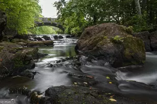 170 Fairplay St, Rutledge, GA 30663 - Photo 43