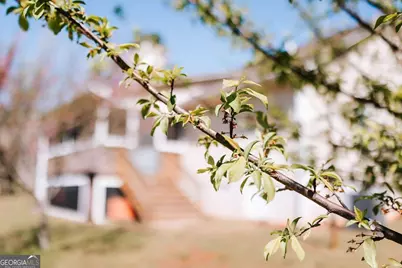 2242 Crawfordville Road, Rayle, GA 30660 - Photo 51