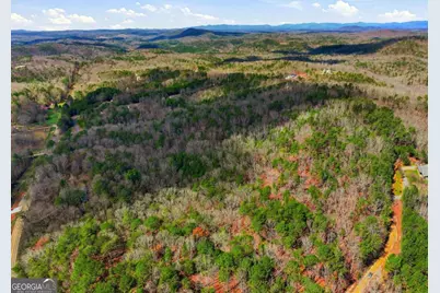 64 Bull Gap Road, Talking Rock, GA 30175 - Photo 3