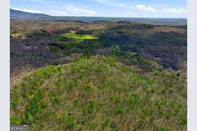 64 Bull Gap Road, Talking Rock, GA 30175 - Photo 5