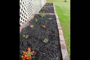 187 Bierce Dr, Young Harris, GA 30582 - Photo 41