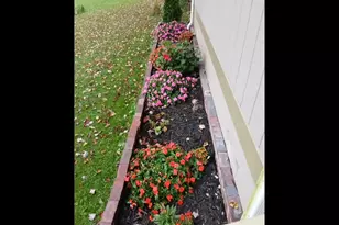 187 Bierce Dr, Young Harris, GA 30582 - Photo 55