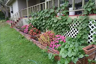 187 Bierce Dr, Young Harris, GA 30582 - Photo 25