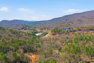 45 Blanche Place Rd, Clayton, GA 30525 - Photo 49