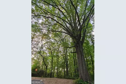 0 Quick Drive, Senoia, GA 30276 - Photo 3