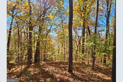 0 Confederate Drive, Clayton, GA 30525 - Photo 23