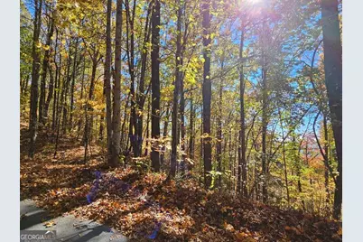 0 Confederate Drive, Clayton, GA 30525 - Photo 9