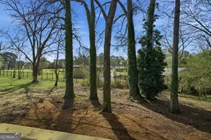 16 Rosenwald Dr, Hampton, GA 30228 - Photo 11