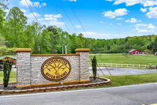 348 Zeblin Rd, Ellijay, GA 30540 - Photo 37