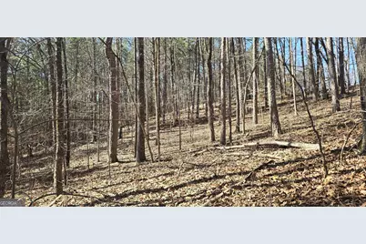 Tract 2 Friendship Trail, Talking Rock, GA 30175 - Photo 3