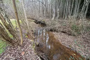 535 Old Stagecoach Rd, Carrollton, GA 30116 - Photo 51