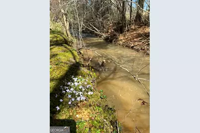 535 Old Stagecoach Road, Carrollton, GA 30116 - Photo 53