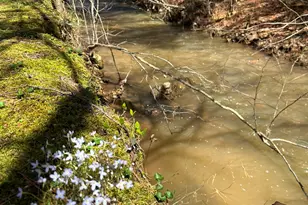 535 Old Stagecoach Rd, Carrollton, GA 30116 - Photo 53