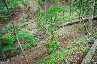 341 Valley View Rd, Ellijay, GA 30536 - Photo 45