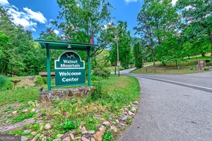 341 Valley View Rd, Ellijay, GA 30536 - Photo 59