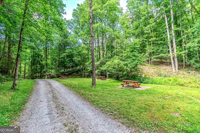 341 Valley View Road, Ellijay, GA 30536 - Photo 67