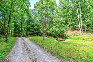 341 Valley View Rd, Ellijay, GA 30536 - Photo 67