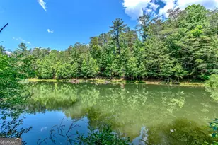 341 Valley View Rd, Ellijay, GA 30536 - Photo 63