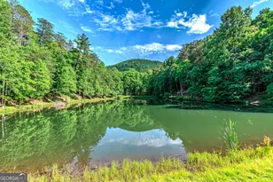 341 Valley View Rd, Ellijay, GA 30536 - Photo 81