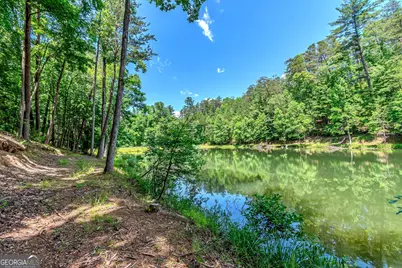 341 Valley View Road, Ellijay, GA 30536 - Photo 65