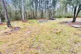 5926 Ml Br Clb Rd, Brooklet, GA 30415 - Photo 23