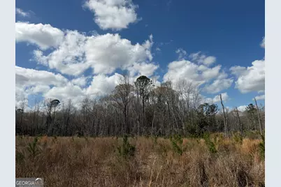 0 Cypress Creek Road, Wrightsville, GA 31096 - Photo 21