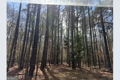 0 Cypress Creek Road, Wrightsville, GA 31096 - Photo 25