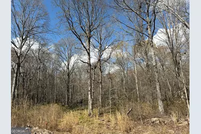 0 Cypress Creek Road, Wrightsville, GA 31096 - Photo 9