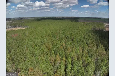 0 Cypress Creek Road, Wrightsville, GA 31096 - Photo 5