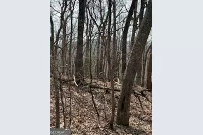 0 Burnt Mountain Ridge Road, Jasper, GA 30143 - Photo 5