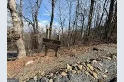 0 Burnt Mountain Ridge Road, Jasper, GA 30143 - Photo 7