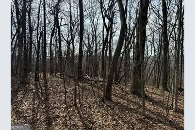 0 Burnt Mountain Ridge Road, Jasper, GA 30143 - Photo 11