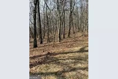 0 Burnt Mountain Ridge Road, Jasper, GA 30143 - Photo 3