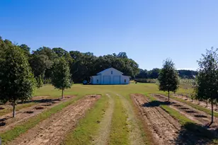 1904 Hwy 341 S, Barnesville, GA 30204 - Photo 3