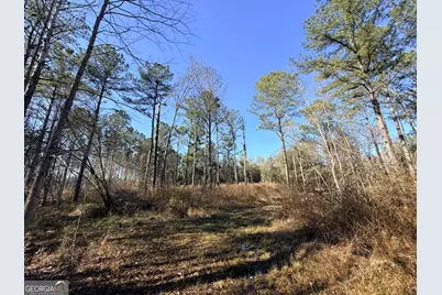 4 Sun Hill Grange Road, Davisboro, GA 31018 - Photo 1