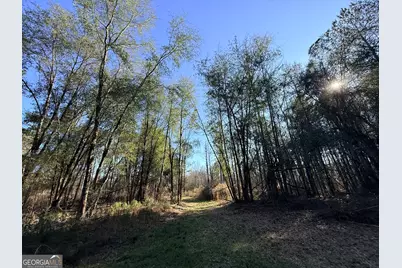 4 Sun Hill Grange Road, Davisboro, GA 31018 - Photo 17