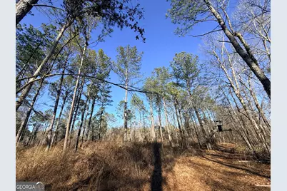 4 Sun Hill Grange Road, Davisboro, GA 31018 - Photo 27
