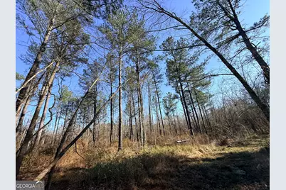 4 Sun Hill Grange Road, Davisboro, GA 31018 - Photo 15