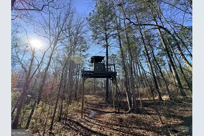 4 Sun Hill Grange Road, Davisboro, GA 31018 - Photo 23