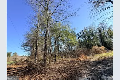 4 Sun Hill Grange Road, Davisboro, GA 31018 - Photo 9