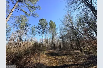 4 Sun Hill Grange Road, Davisboro, GA 31018 - Photo 13