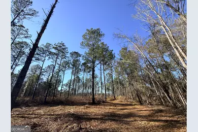4 Sun Hill Grange Road, Davisboro, GA 31018 - Photo 5